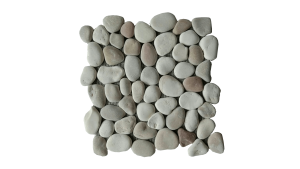 PAR 04