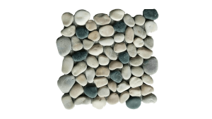 PAR 07
