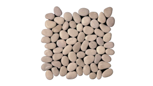 PAR 08
