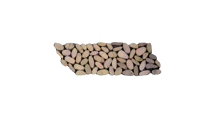 PENB 02