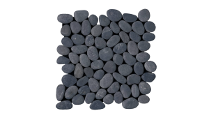PAR 09