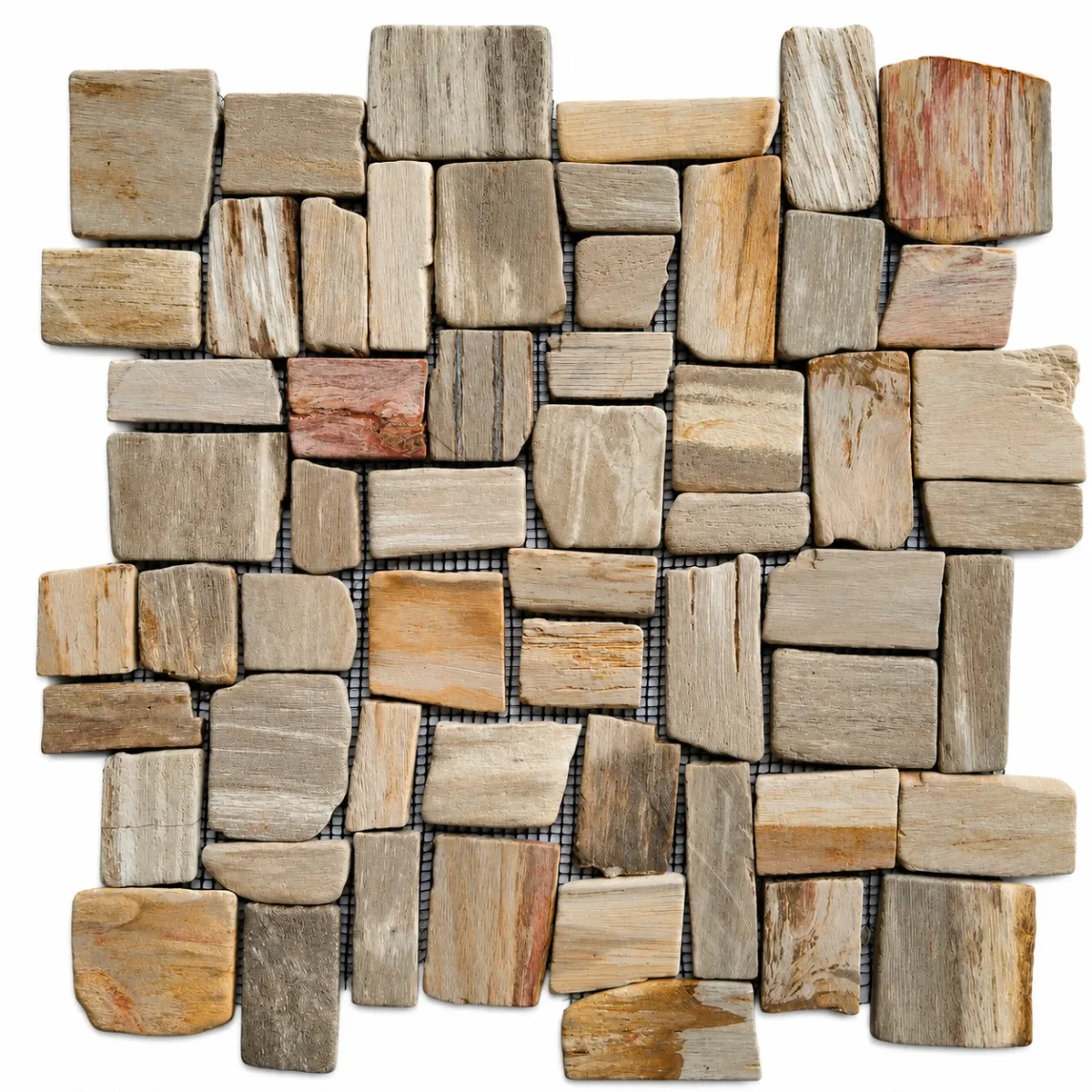 Petrified Wood Random Cut