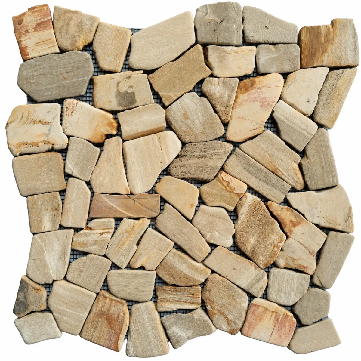 Petrified Wood Crazy Cut