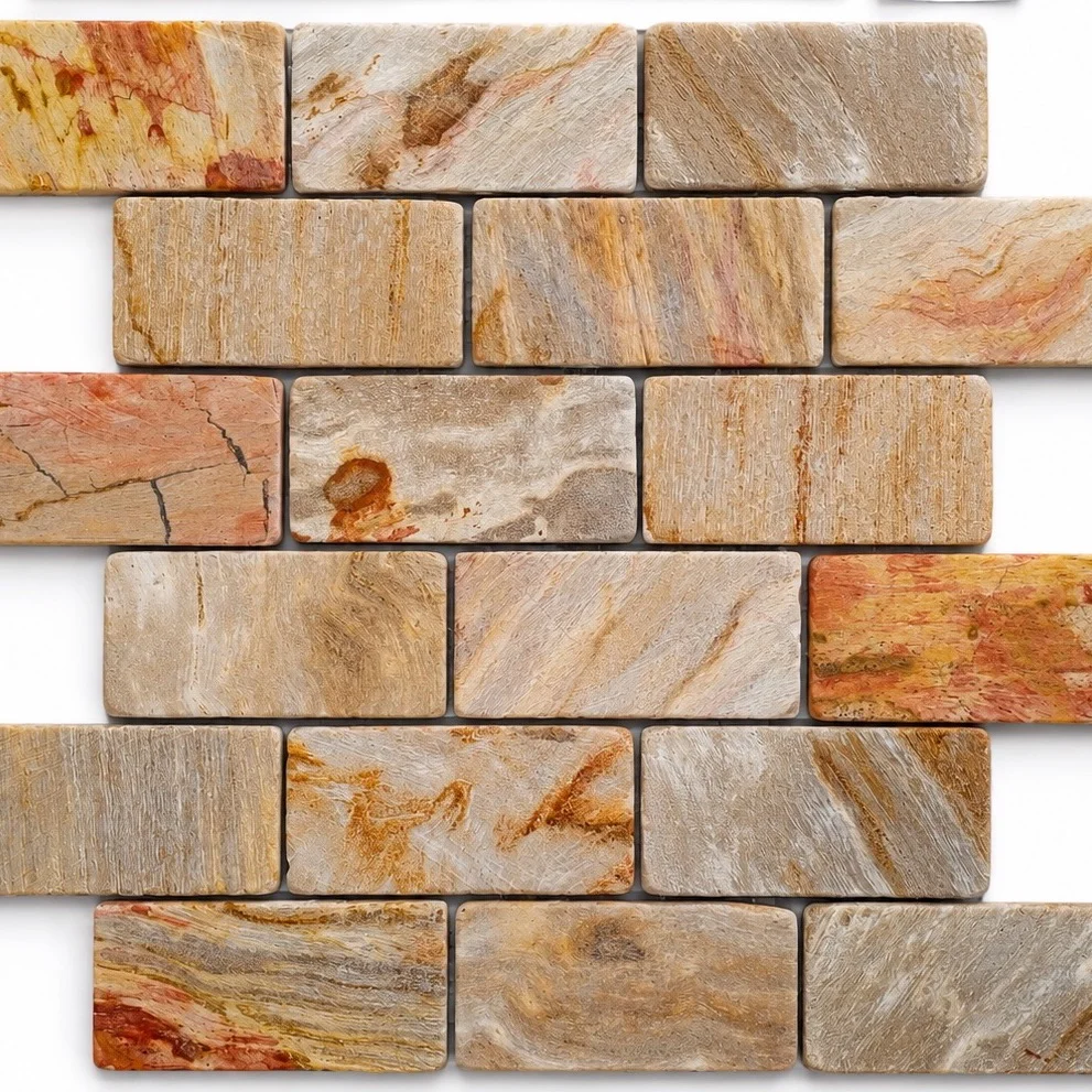 Petrified Wood 5×10 Cut